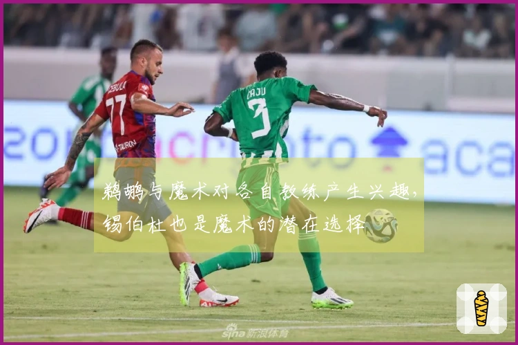 鹈鹕与魔术对各自教练产生兴趣，锡伯杜也是魔术的潜在选择