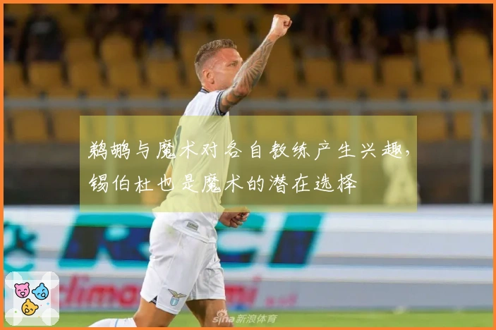 鹈鹕与魔术对各自教练产生兴趣，锡伯杜也是魔术的潜在选择