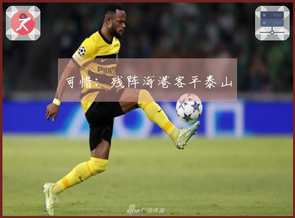可惜：残阵海港客平泰山