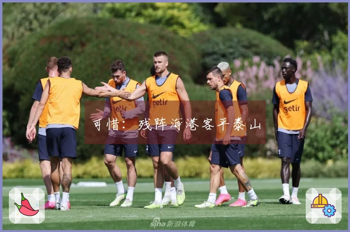 可惜：残阵海港客平泰山
